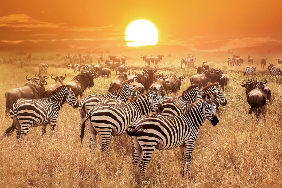 Tanzania during August